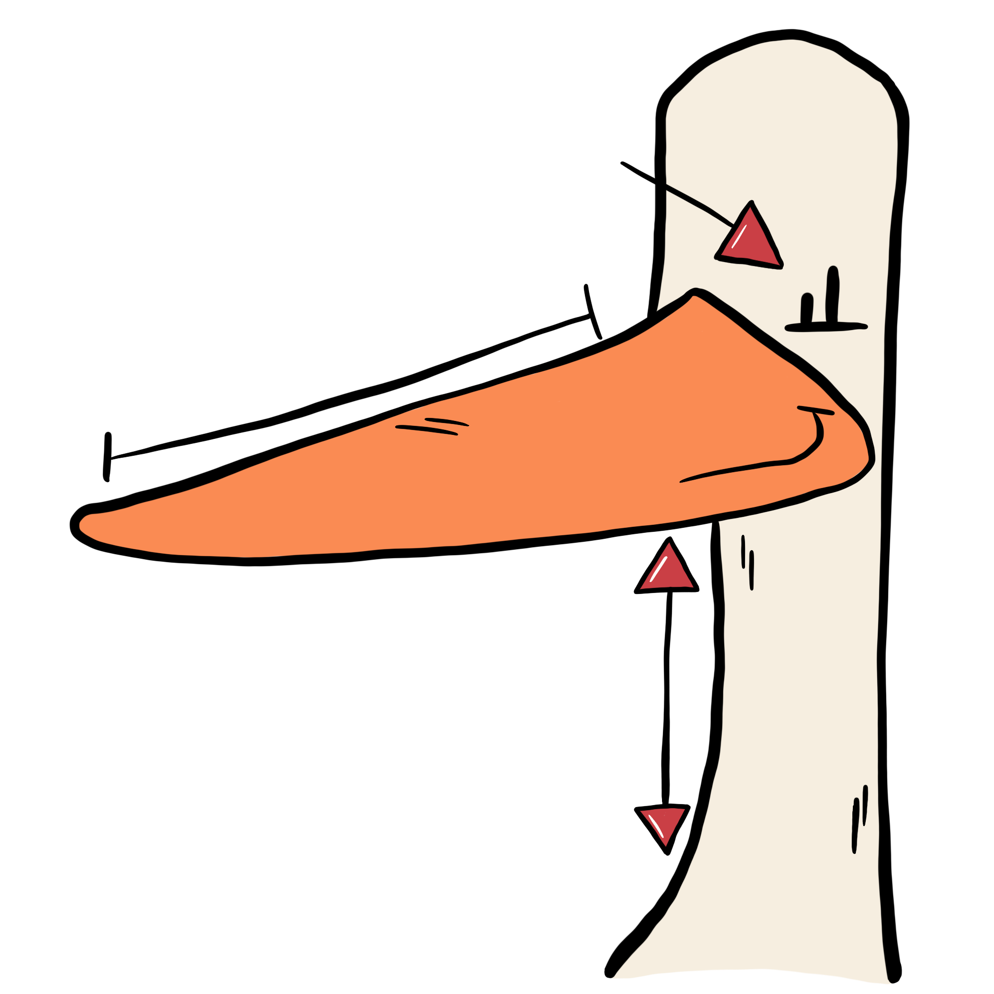 Storch mit Schnabellänge und langen Hals