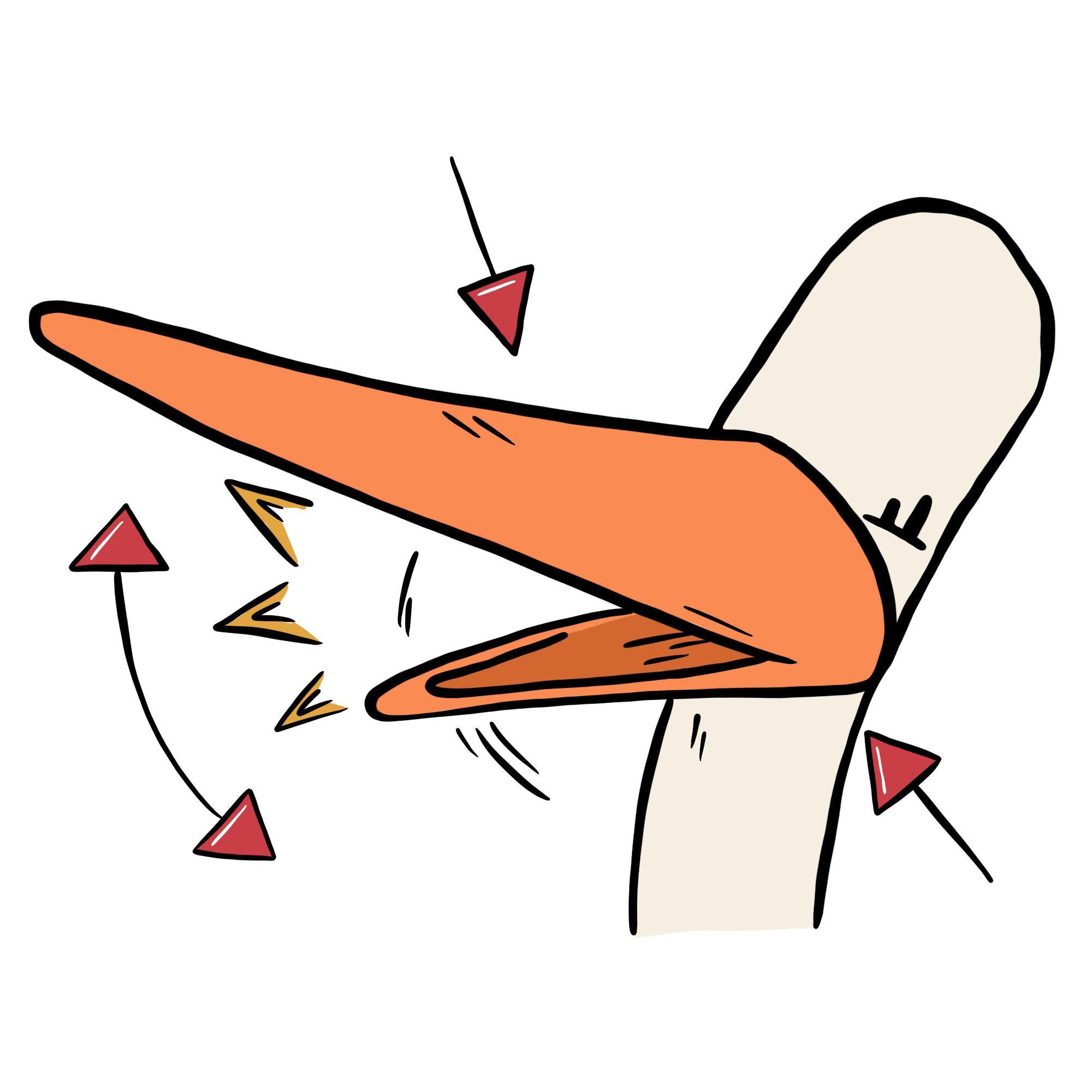 Storch der Klappert