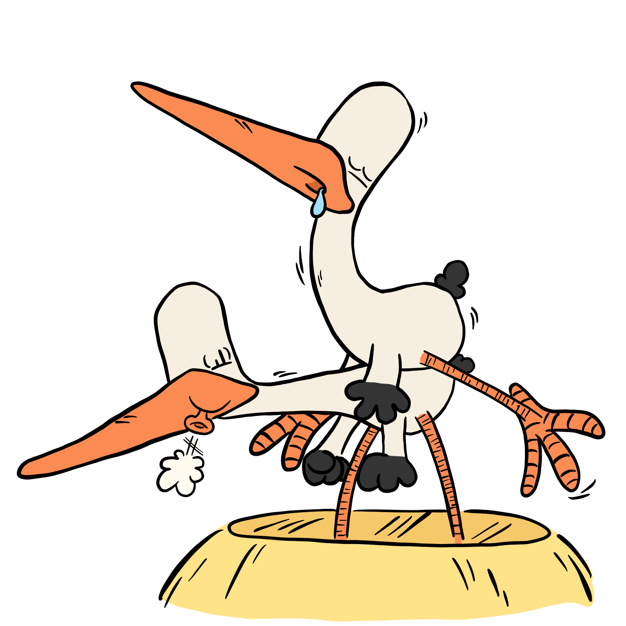 Storch der mit Störchin liebe macht
