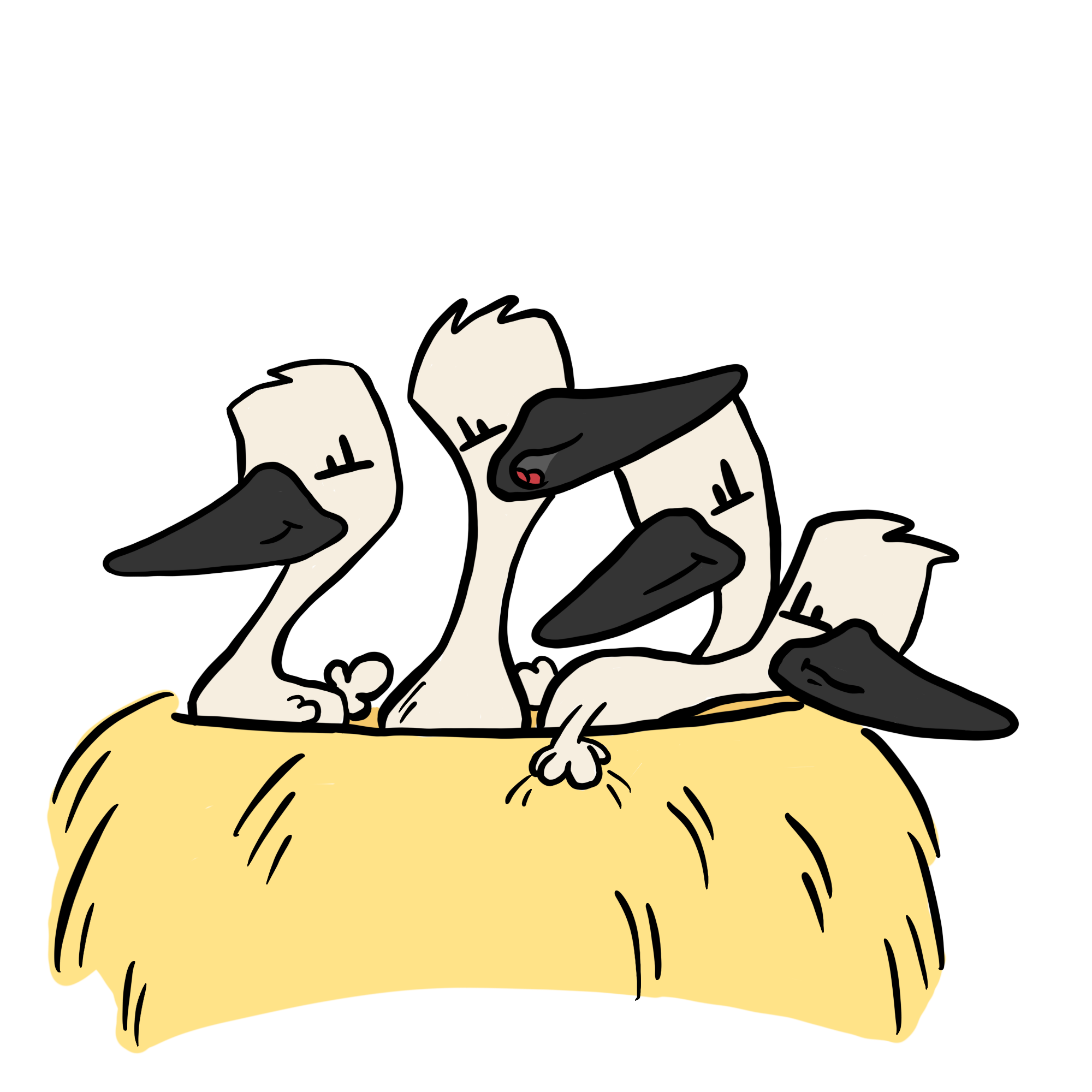 Jungstörche im Nest