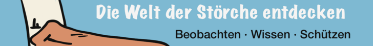 Storch Anzeige