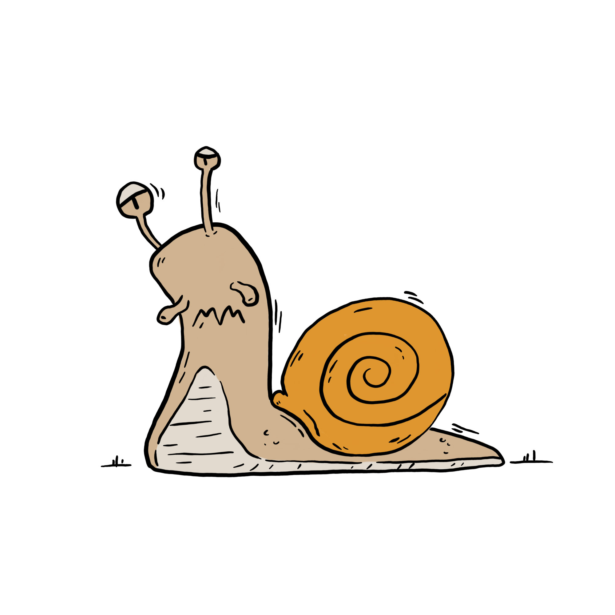 Schnecke