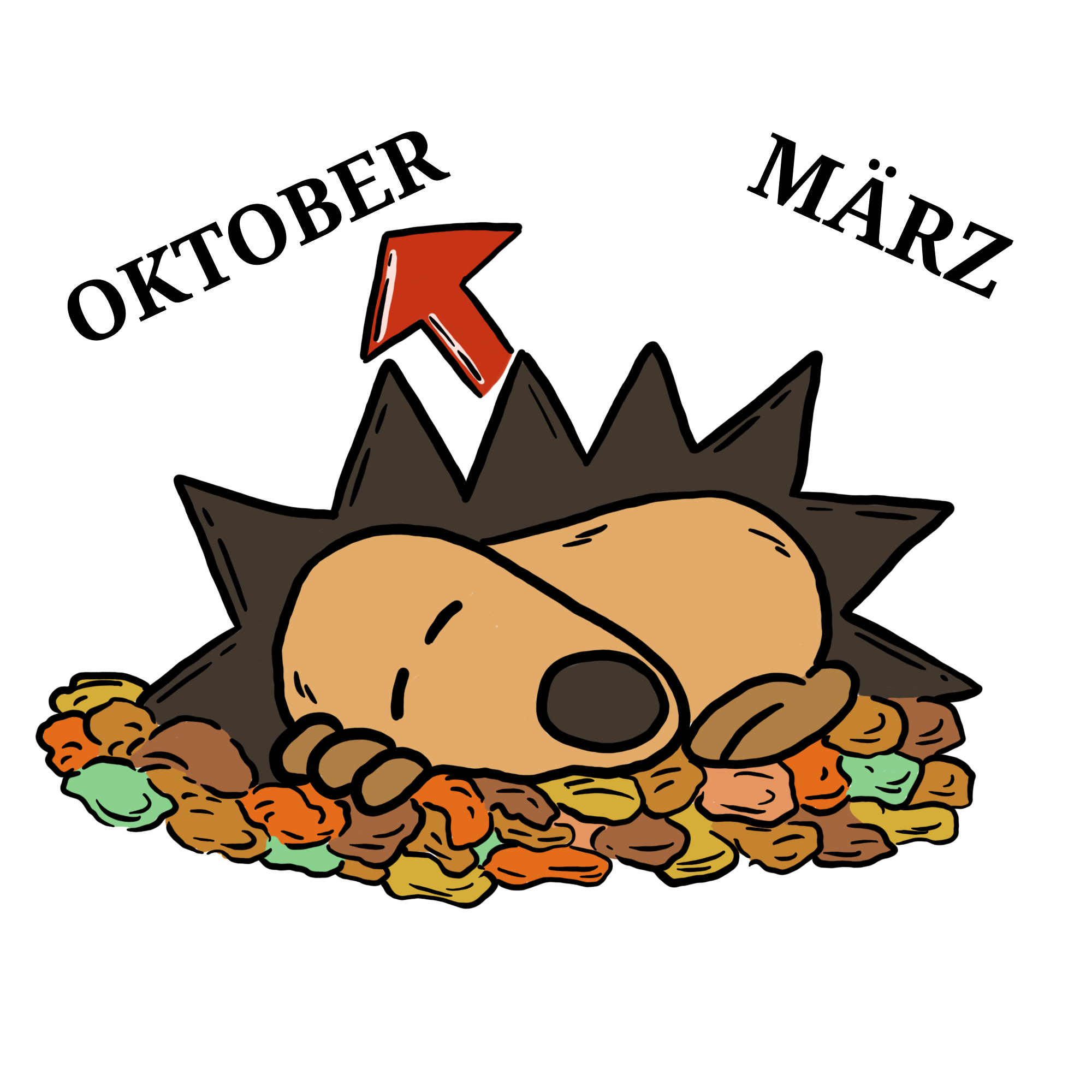 Igel schläft von Oktober bis März