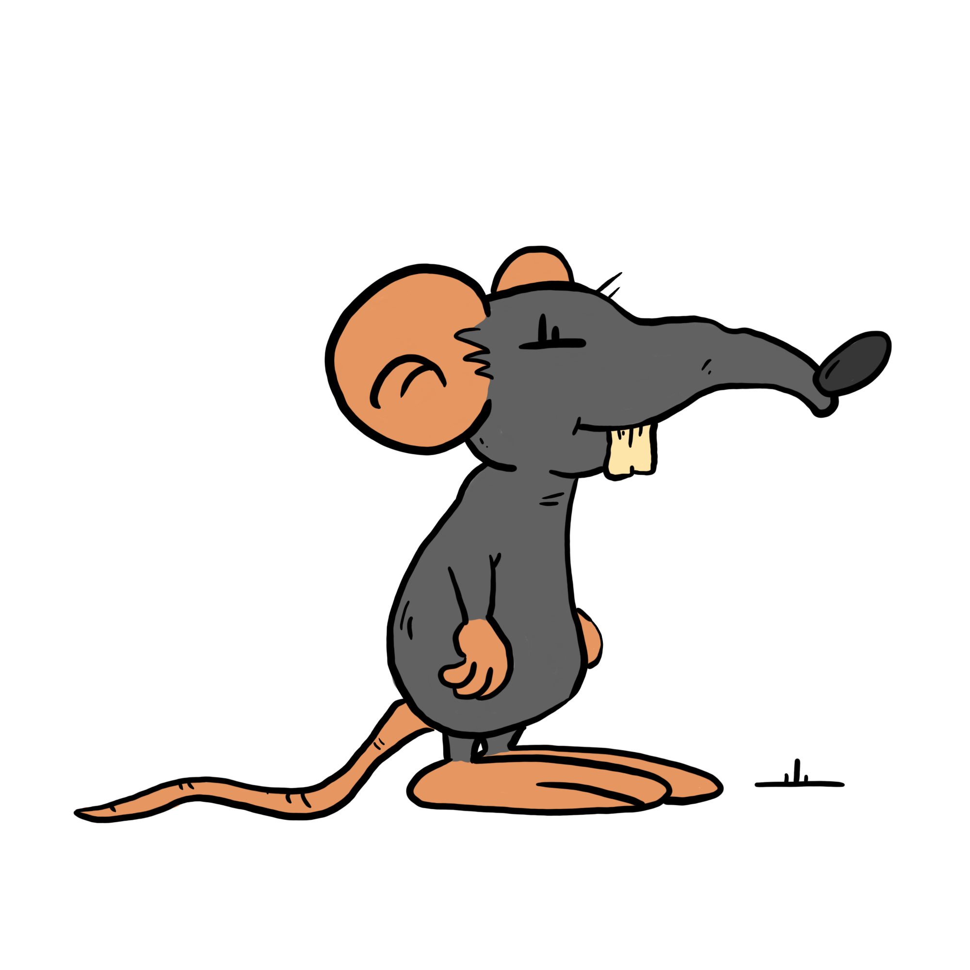 Igelfeind die Ratte