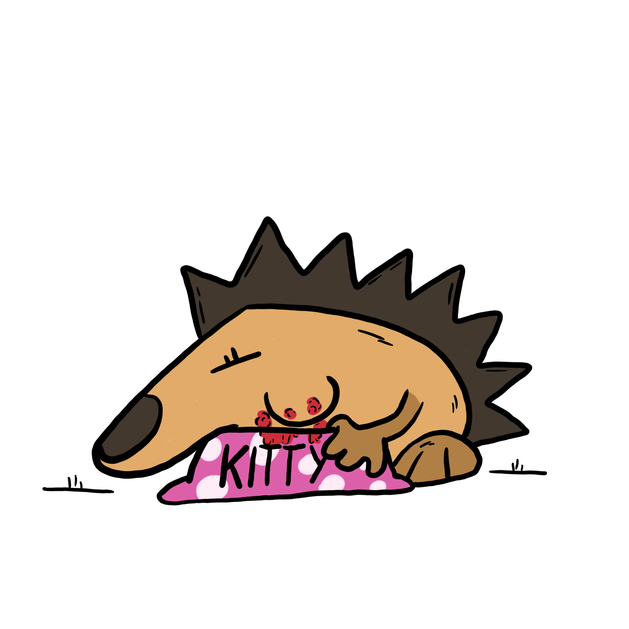Igel frisst Katzennahrung