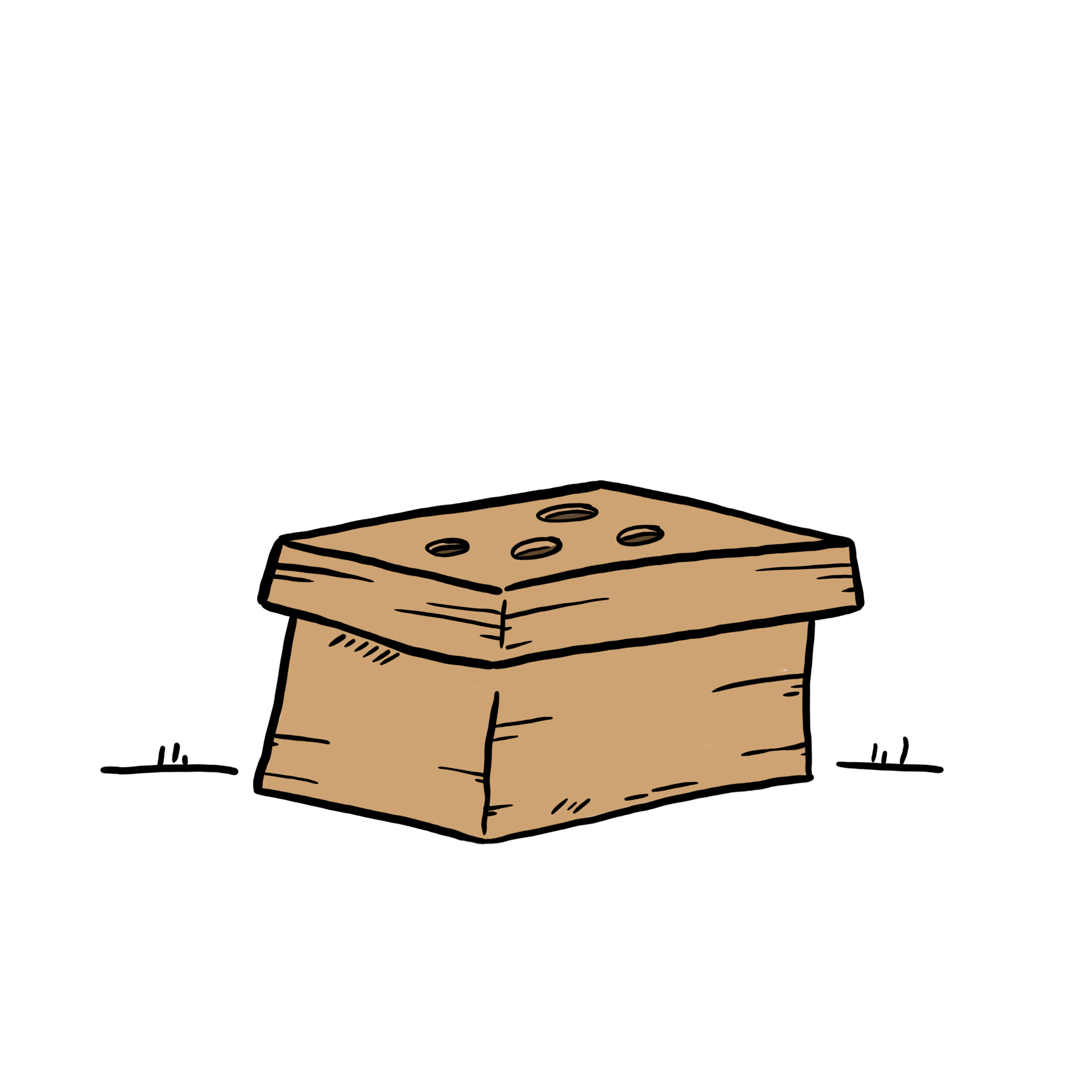 Box Karton für Igel