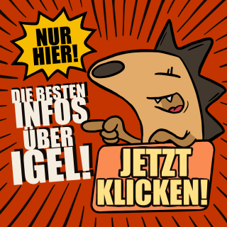 Comic-Igel zeigt auf ein Schild: Die besten Infos über Igel